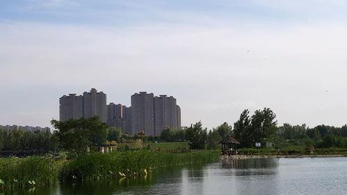 河北 猛砸 约6840万元 新建一公园,计划明年开园,就在邢台