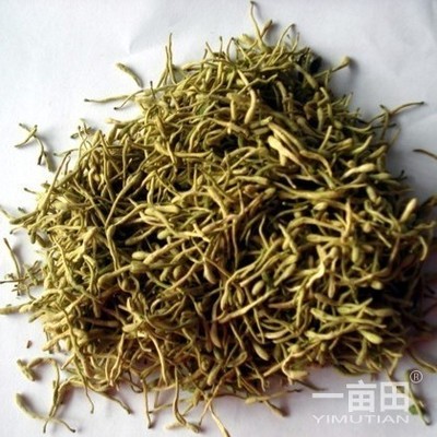 药用金银花河北邢台威县_批发_供应-一亩田农业网_专业的农产品信息商务平台