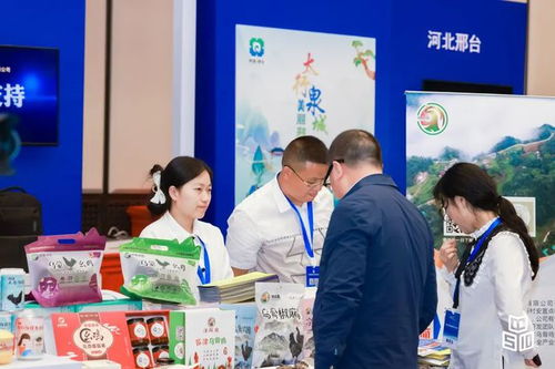 太行泉城 美丽邢台 城市品牌 亮相2023中国品牌日