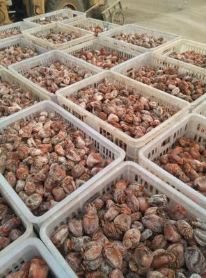 邢台50万斤柿子饼滞销,急坏果农!