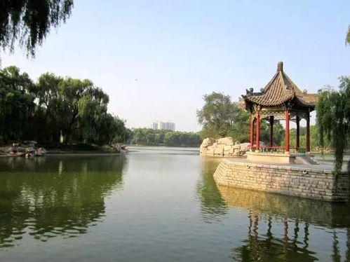 公众平台 百年邢台梦,一世滨江情