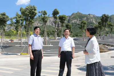 邢台市人大常委会主任魏吉平到我区考察,看看都去了哪些地方,调研了什么工作?