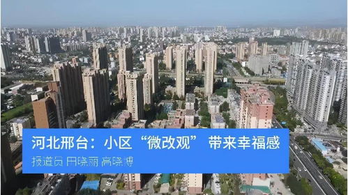 上周,中央和省级主流媒体点赞邢台这些事