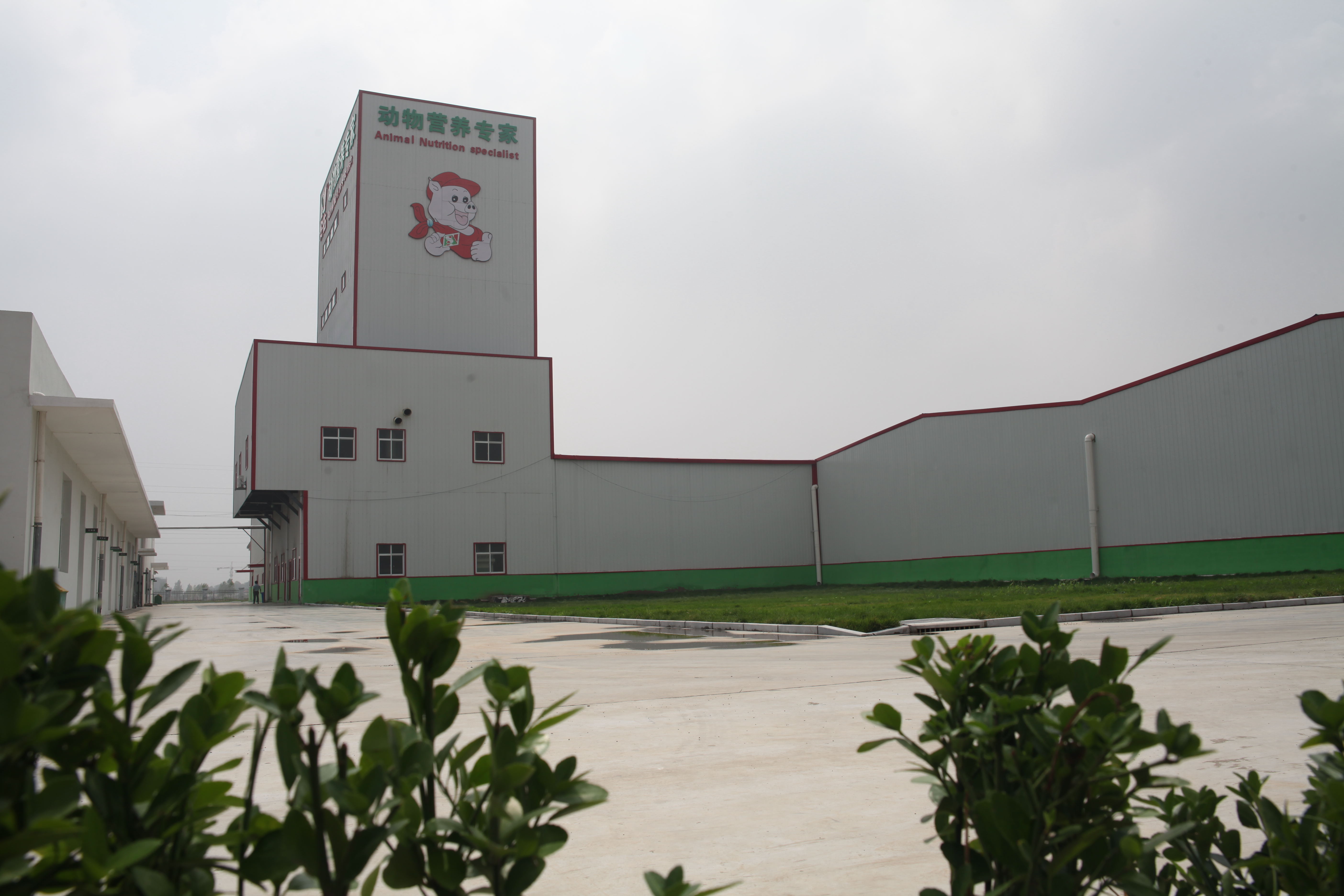 安佑生物科技集团股份在邢台 创新驱动与区域发展的典范