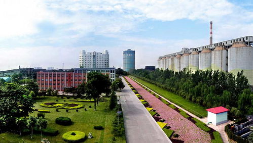 邢台钢铁有限责任公司 邢台市工业脊梁的坚实支柱